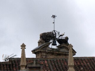 P1150475