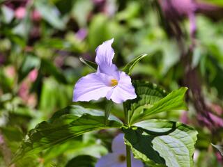 IMG 4799