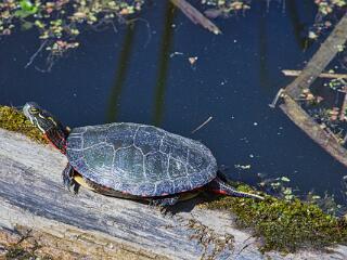 IMG 4856