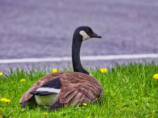 IMG 4500 166