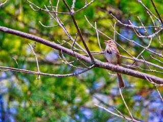 IMG 4546 212