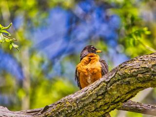 IMG 4582 248