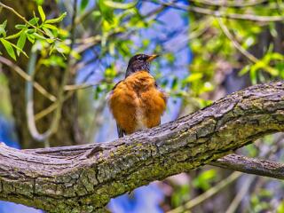 IMG 4591 257
