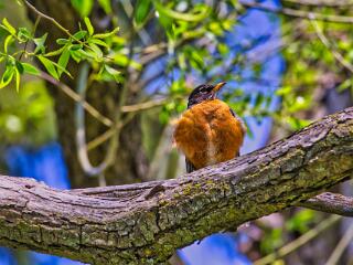 IMG 4593 259