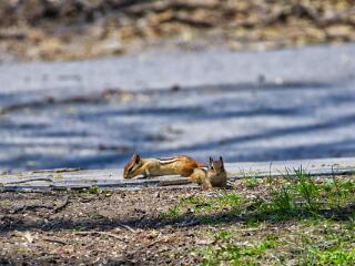 IMG 4613 14