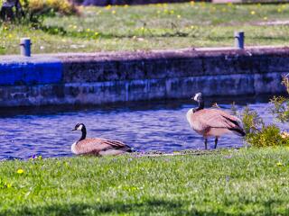 IMG 4647 40