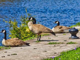 IMG 4654 47