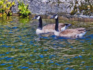 IMG 4661 54