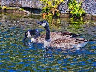 IMG 4664 57