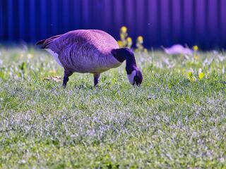 IMG 4679 72
