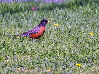 IMG 4714 105