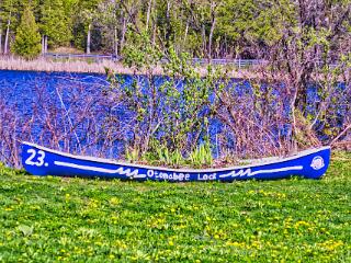 IMG 4720 111