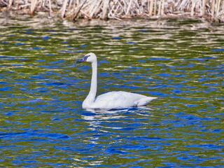 IMG 4724 115