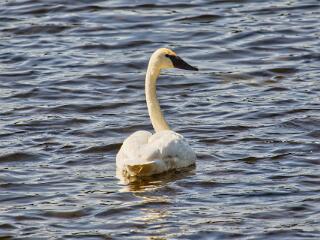 IMG 4726 117