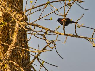 IMG 4762 153