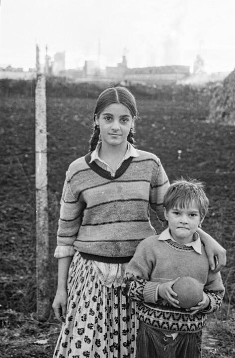 CopsaM-N_95-003_97-DeNoiseAI