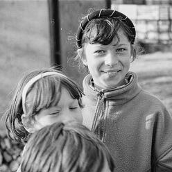 CopsaM-H_95-003_53-DeNoiseAI