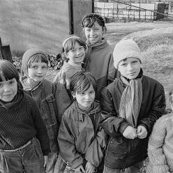 CopsaM-H_95-004_54-DeNoiseAI