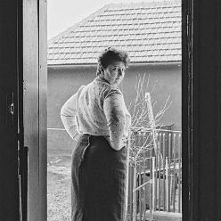 CopsaM-L_95-014_76-DeNoiseAI
